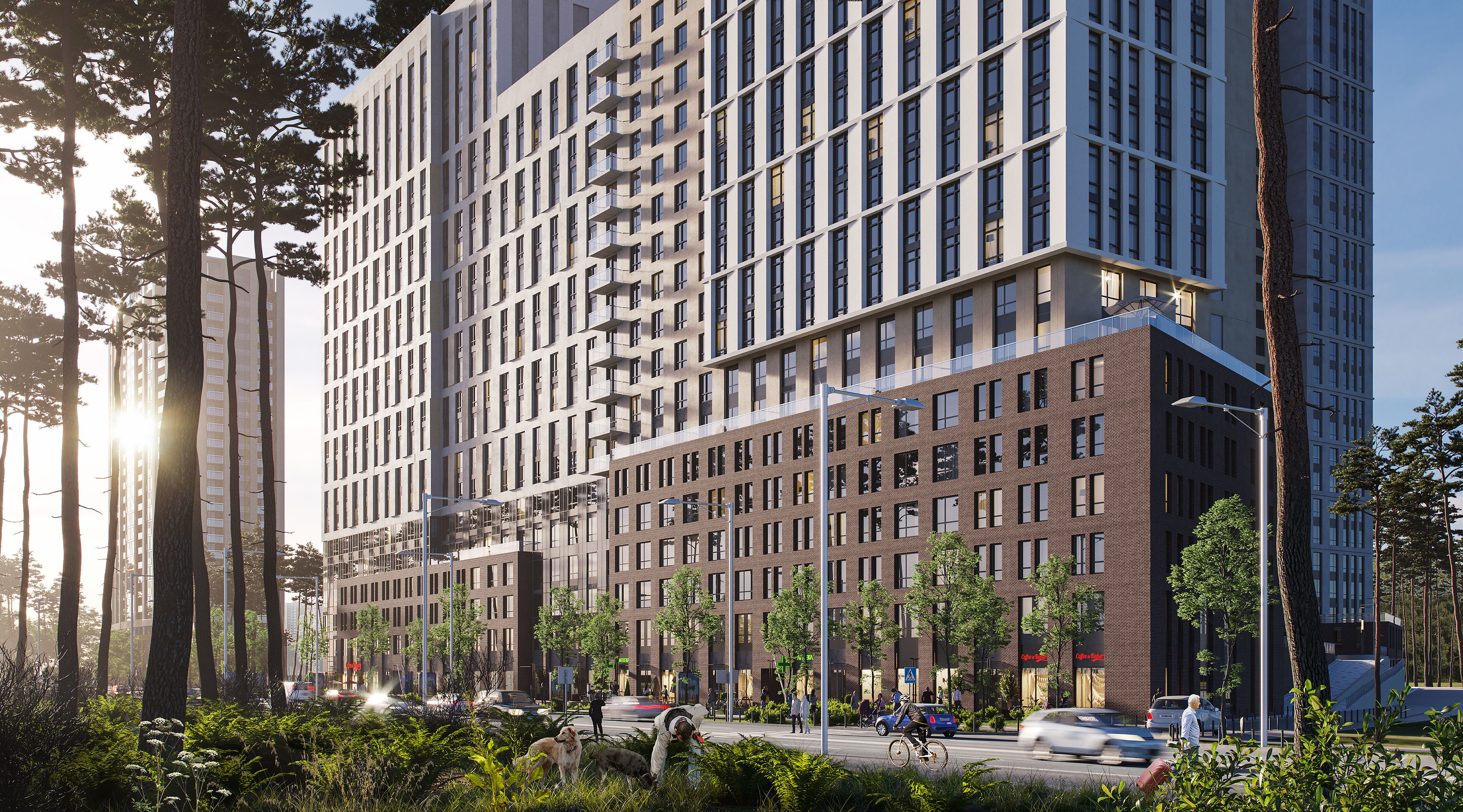 dimgroup-new-authograph